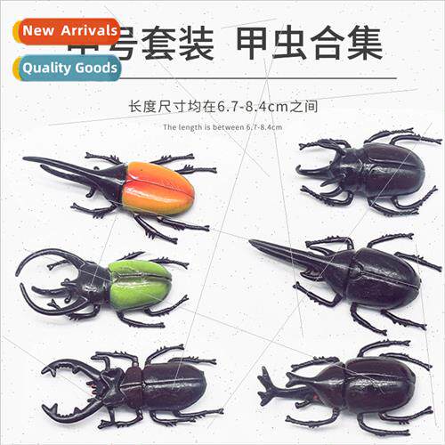 Beetle toy model Children educational science teaching toys
