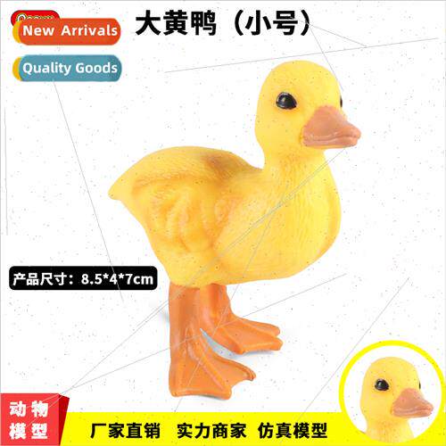 animal small yellow duck model toys poultry farm duck mallar