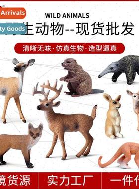 Wild Animal Model Whetail Deer Beaver Squirrel Monkey Beaver