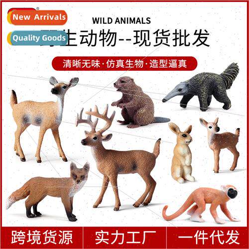 Wild Animal Model Whetail Deer Beaver Squirrel Monkey Beaver