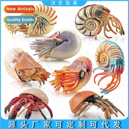 Solid marine life static toy model ornament set children cog