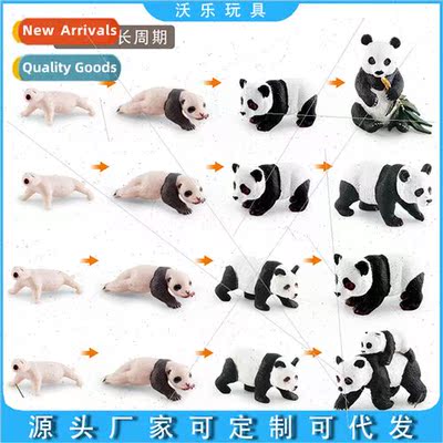 Wildlife cats bears growth process children cognive national