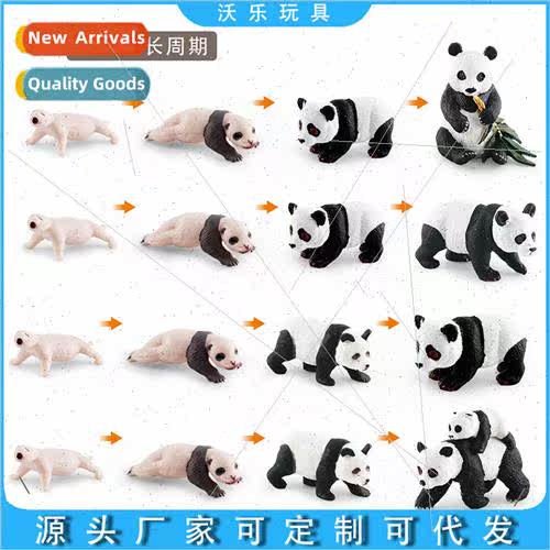 Wildlife cats bears growth process children cognive national