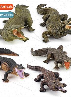 Wild reptile crocodile model solid le crocodile Yang crocodi