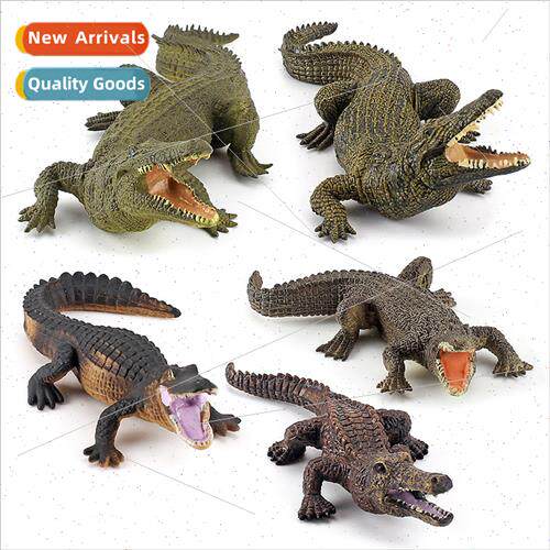 Wild reptile crocodile model solid le crocodile Yang crocodi
