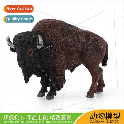 Wildlife Cattle Model American Bison Buffalo Cattle Cattle C