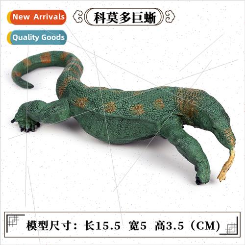 Solid static wildlife model children toys toucan komodo touc