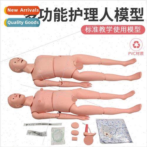 Human Nursing Training Men Women Nursing Medicine Nurse Nurs