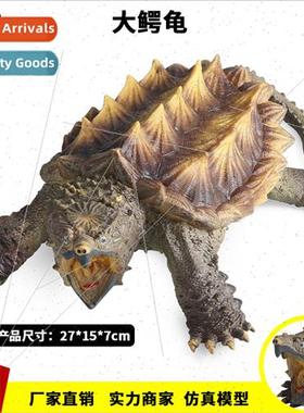 Freshwater Animal Model Large Snapping Turtle Turtle Tortois