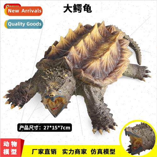 Freshwater Animal Model Large Snapping Turtle Turtle Tortois