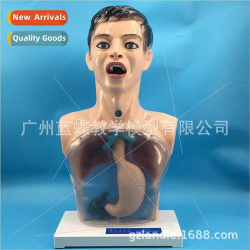 Multifunctional transparent gastric lavage training model ga