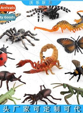 Scorpion centipede model children cognive simulation insect