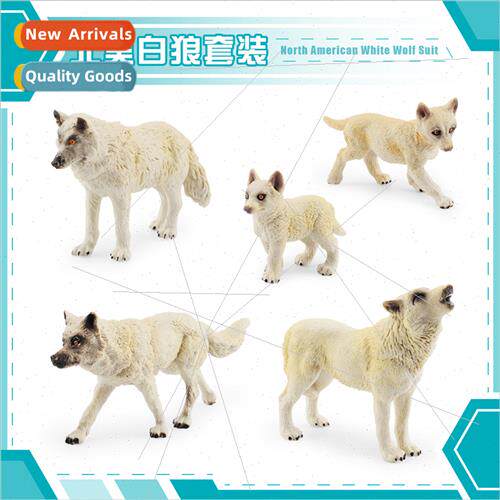 North America whe wolf animal model static growling wolf wal