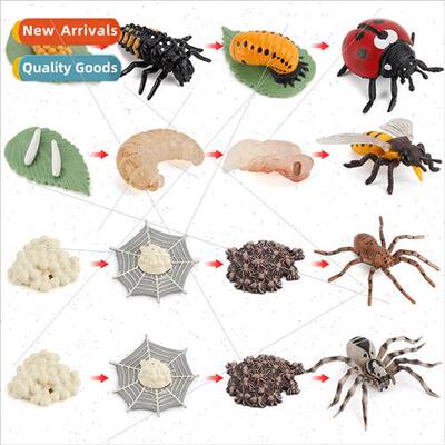Children cognive science education simulation insect animal