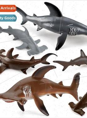 Children marine animals hammerhead shark enlightenment early