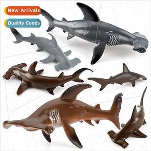 Children marine animals hammerhead shark enlightenment early