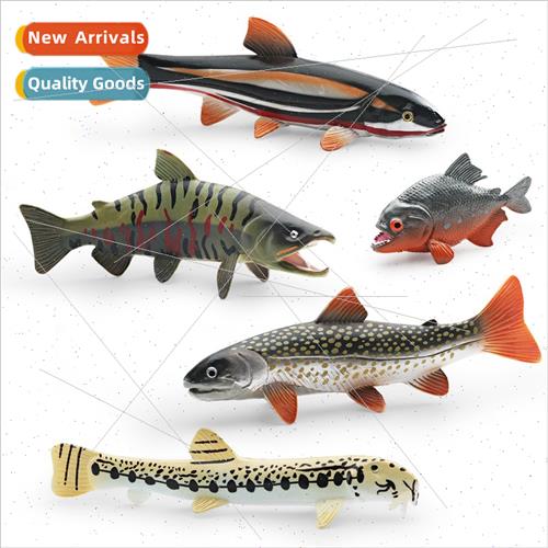 Model Salmon Piranha Chinese Loach Sockeye Salmon Yarrow Fis