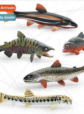 Model Salmon Piranha Chinese Loach Sockeye Salmon Yarrow Fis