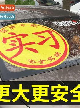 New to road female drivers enlarged  internship oversized ov