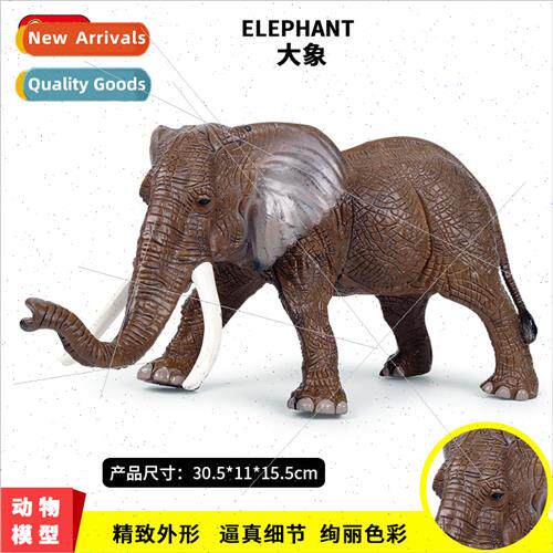Children simulation wildlife model African elephant Zoo elep