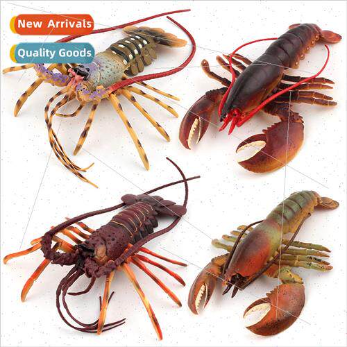mulation solid australia boston lobster marine life underwat