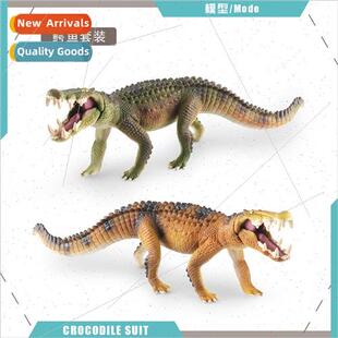 Children amphibious wildlife model crocodile solid science e