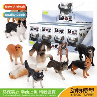 simulation doll box dog blind famous world animal surprise