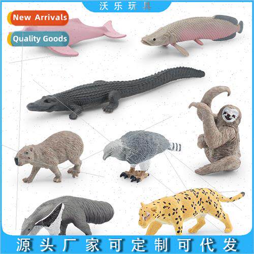 Wild  American animal model dolphin caiman dolphin horned ca