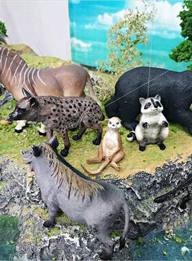 wild animal model hyena ibex warthog african spir cat raccoo