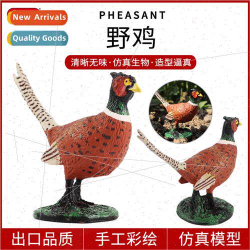 Science education pheasant toys farm decoration landscaping