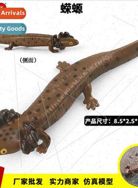 Children simulation hexagonal dinosaur fish solid salamander