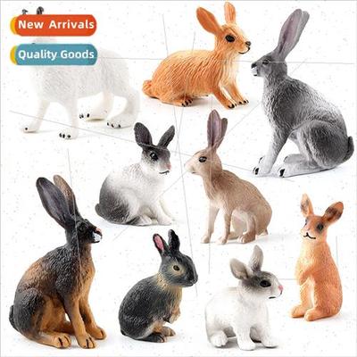 farm animal model children science education cognive rabb st