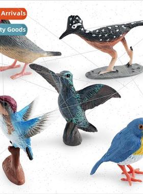 Wild Flying Bird Animal Model Walking Cuckoo Hummingbird ttl