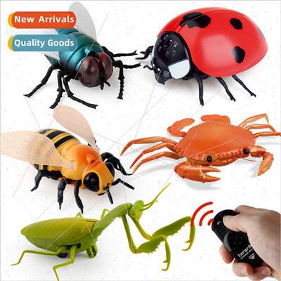 Remote control insects remote control flies bees ladybugs in