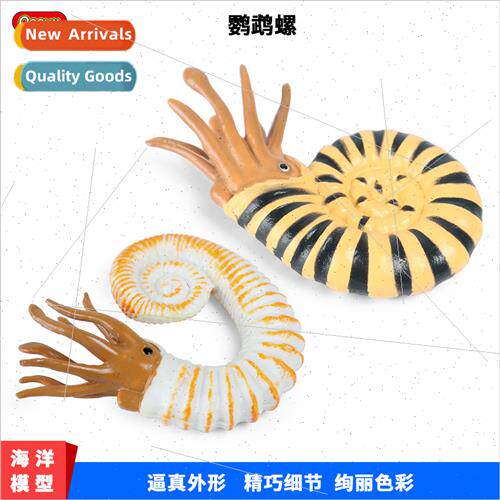 mulation model toys ancient creatures nautilus conch conch d
