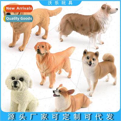 Children golden hair corgi shepherd pet dog dog decorative o