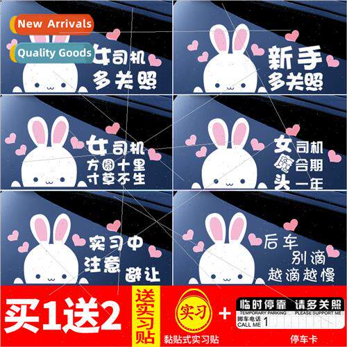 Internship female drivers special car stickers new road sign