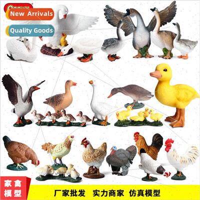 mulation wildlife model poultry chickens ducks geese hatchin