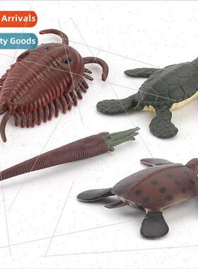 Ancient model set solid room hornstone trilobe sea turtle st