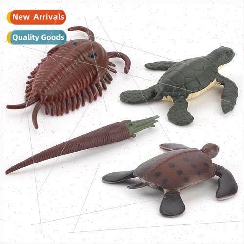 Ancient model set solid room hornstone trilobe sea turtle st