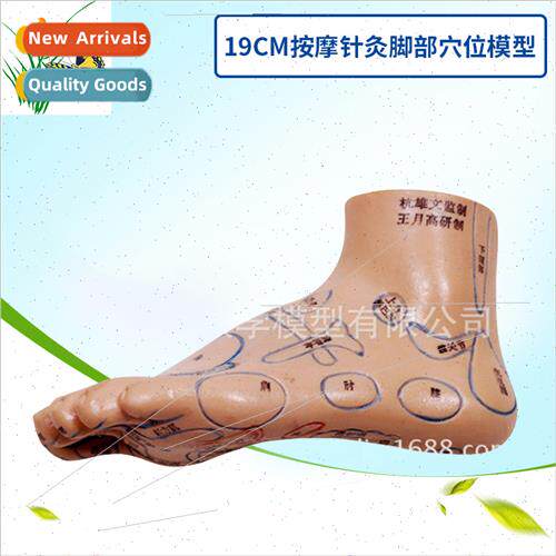 ngle 19CM Massage Acupuncture Foot Acupuncture Points Ultra-