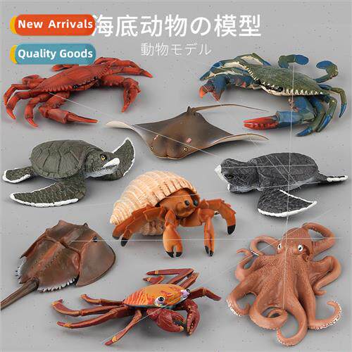 life model octopus sea turtle ornaments herm crab model orna