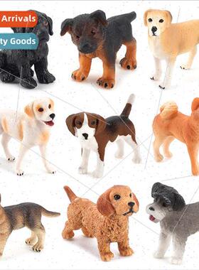 Farm Animal Puppy Model Shiba Inu Shepherd Beagle Labrador S