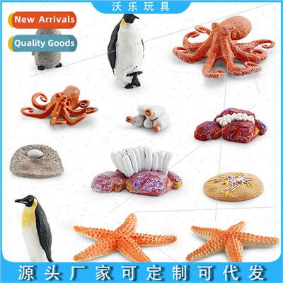 Growth cycle model ornament octopus penguin starfish growth