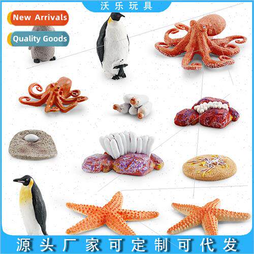 Growth cycle model ornament octopus penguin starfish growth