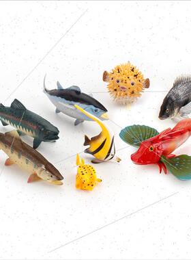 Solid freshwater fish model tuna salmon flower ridge fish cr