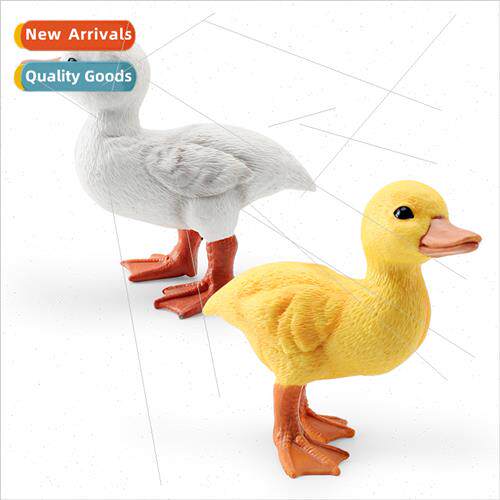 poultry duck model solid yellow duck whe duck farm animal sc