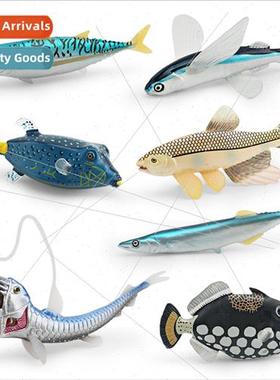 animals flying fish canball fish box triggerfish tuna swordf
