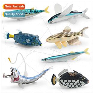 animals flying fish canball fish box triggerfish tuna swordf
