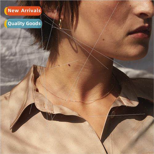 Golden stainless steel necklace ladies fashion simple short